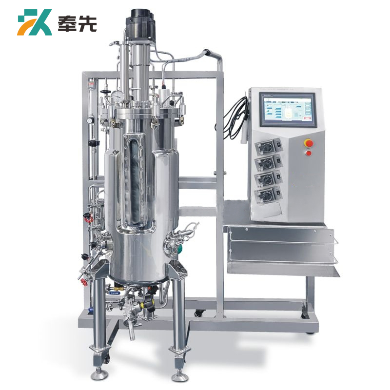 100L Top Mechanical Mixing Stainless Steel Fermenter