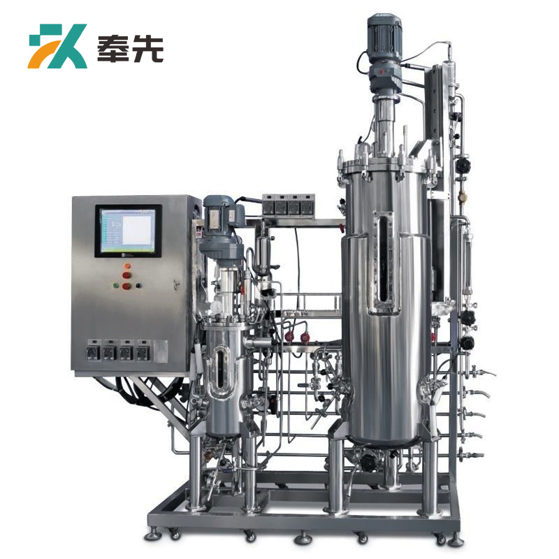 10L-100L Secondary Stainless Steel Bioreactor System
