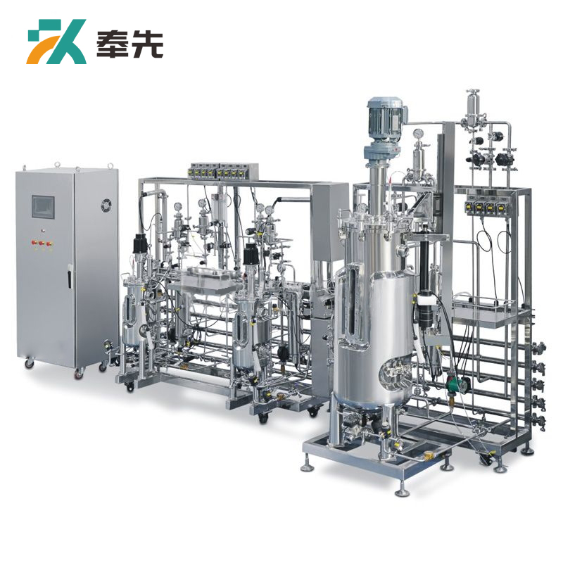 10L-20L-200L Tertiary Stainless Steel Bioreactor System