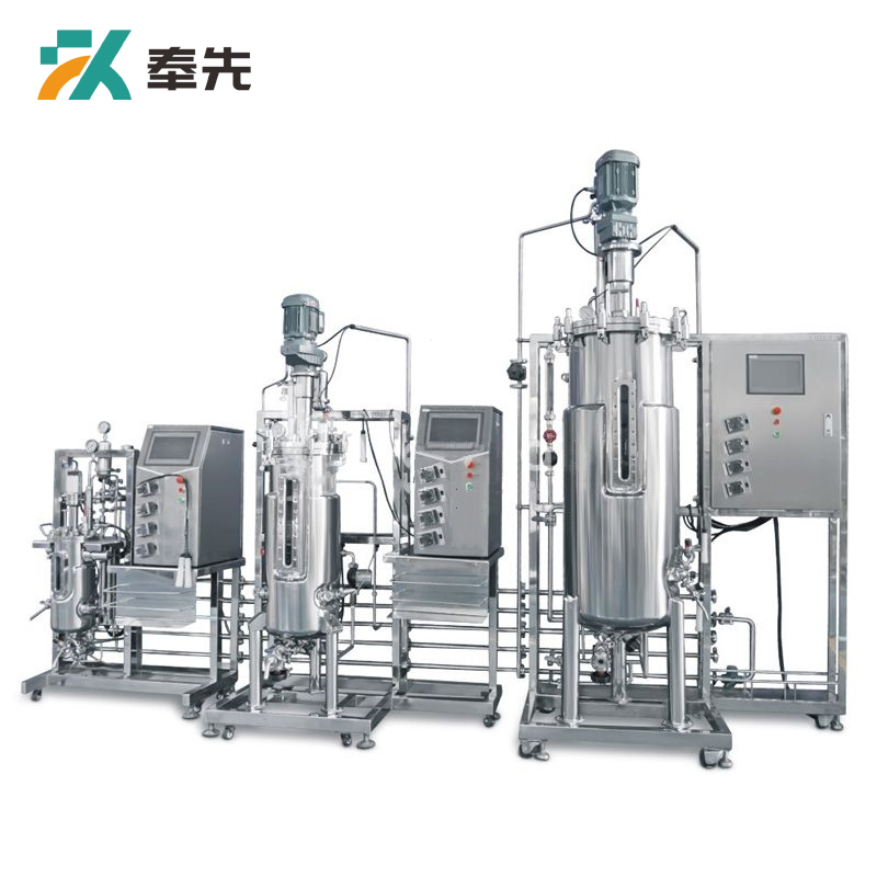 10L-50L-100L Tertiary Stainless Steel Bioreactor System