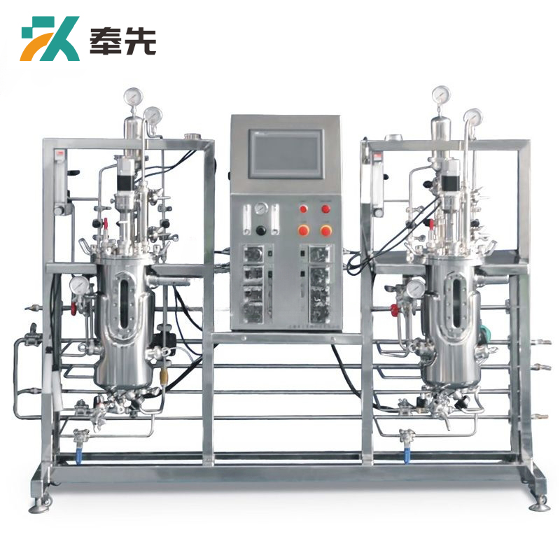 10L Double Stainless Steel Bioreactor