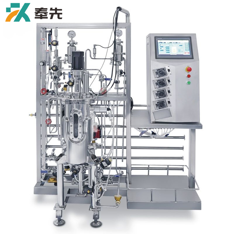 10L Top Mechanical Mixing Stainless Steel Bioreactor