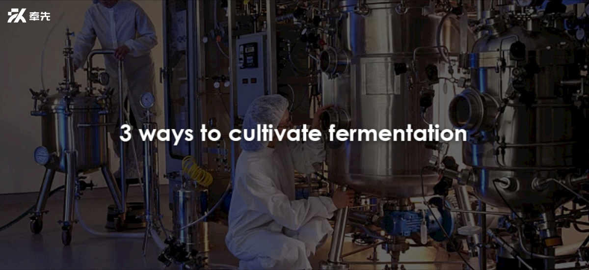 3 Ways To Cultivate Fermentation