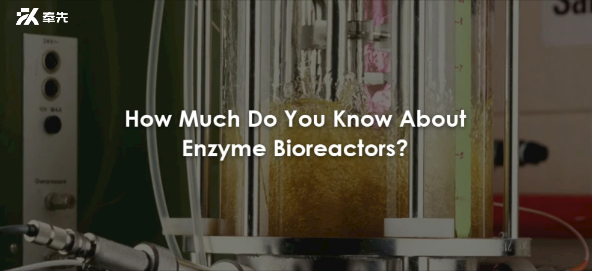 How Much Do You Know About Enzyme Bioreactors?