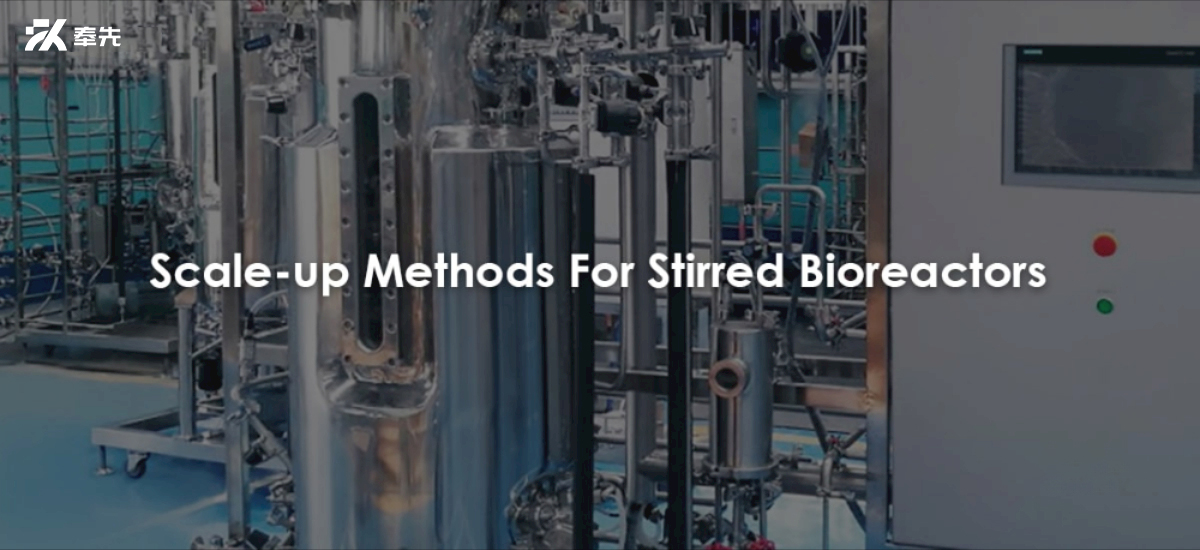 Scale-up Methods For Stirred Bioreactors