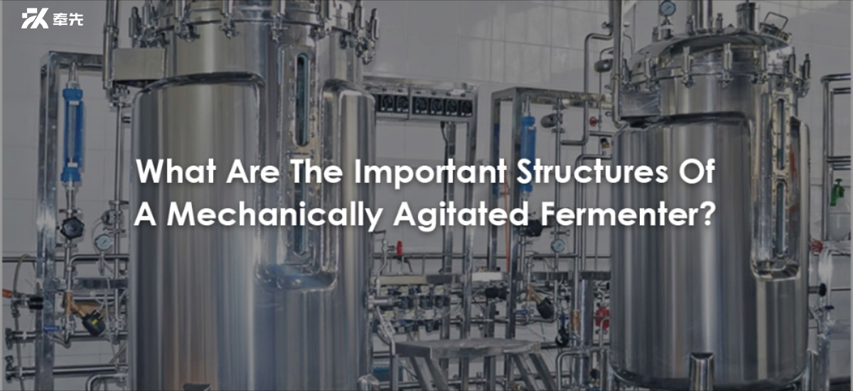 What Are The Important Structures Of A Mechanically Agitated Fermenter?