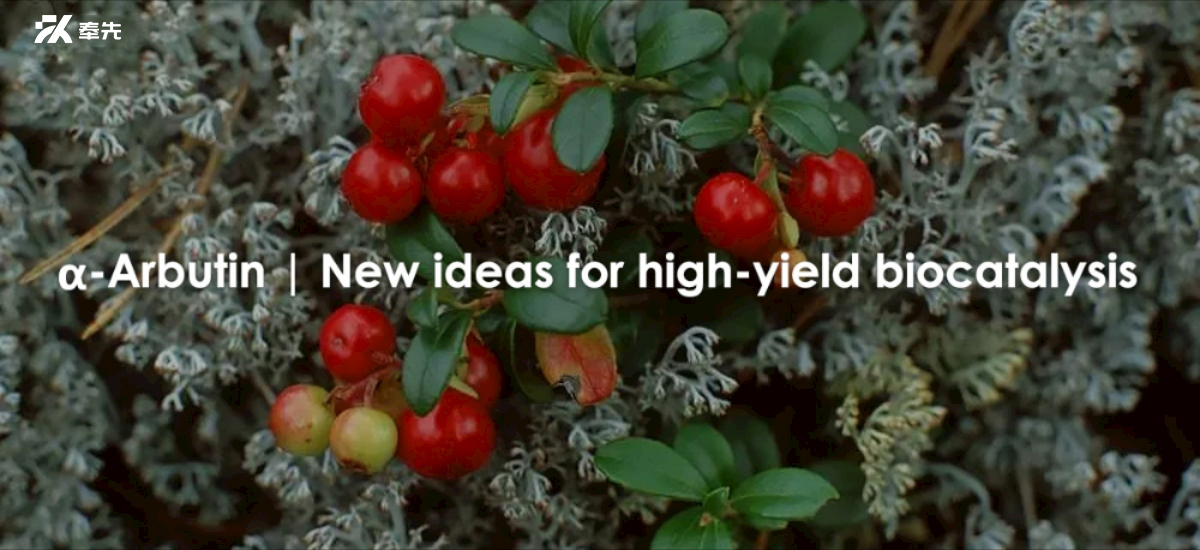 Α-Arbutin | New Ideas For High-yield Biocatalysis