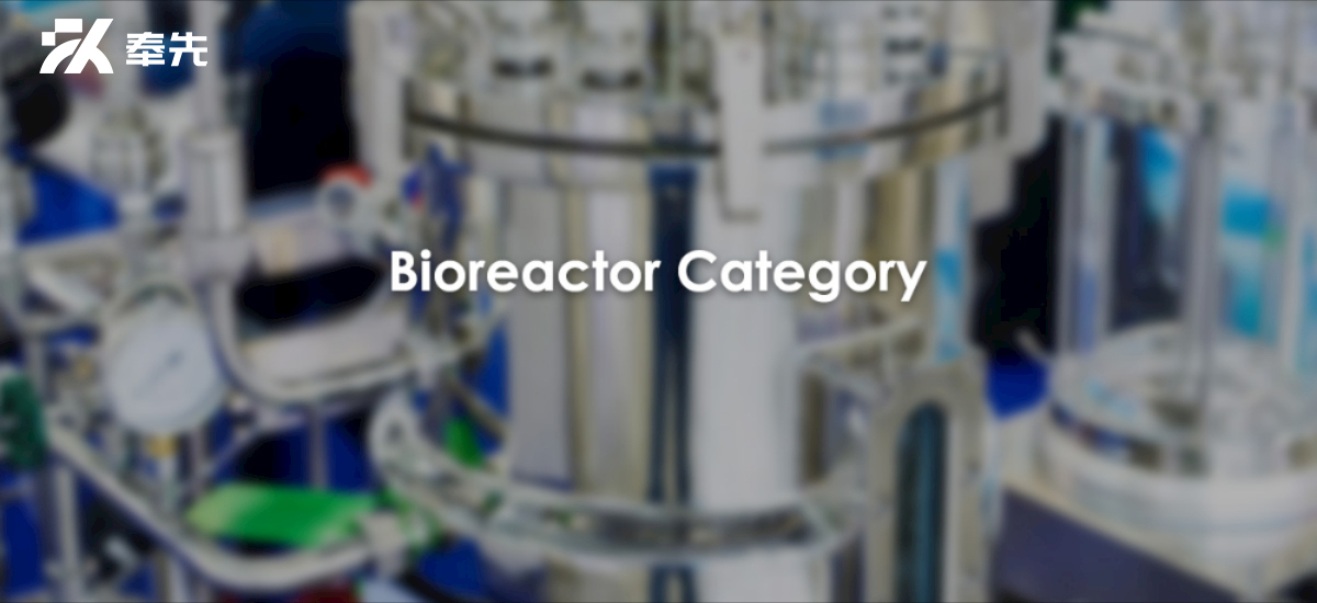 What Types Of Bioreactors Are Commonly Used In Laboratory?