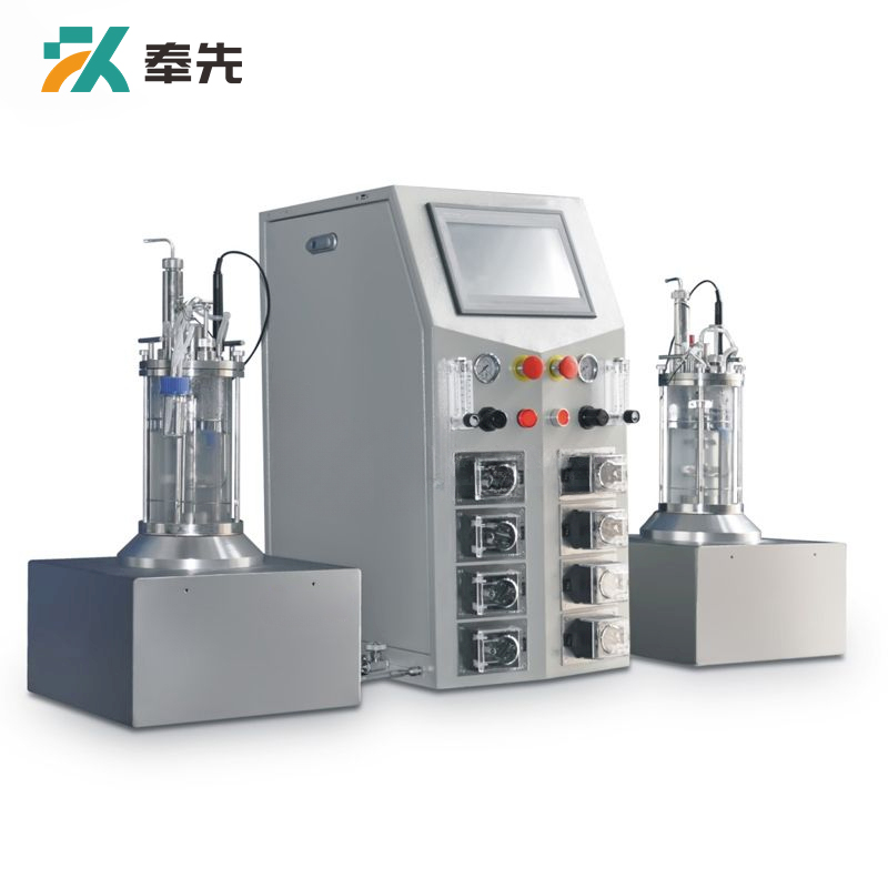 Benchtop In Situ Sterilizable Magnetic Mixing Parallel Double Glass Bioreactor