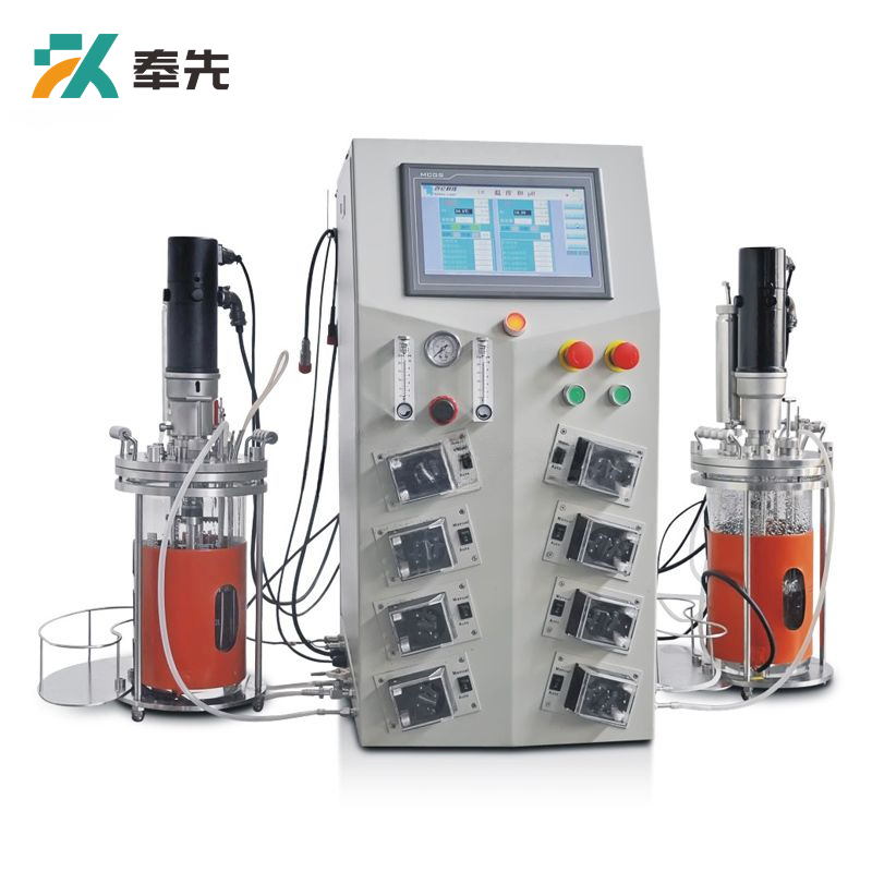 Benchtop Mechanical Mixing Parallel Double Glass Bioreactor