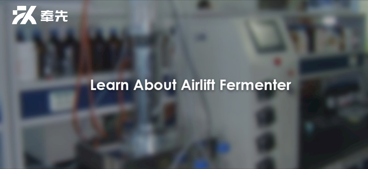 Features And Advantages Of Airlift Fermenters