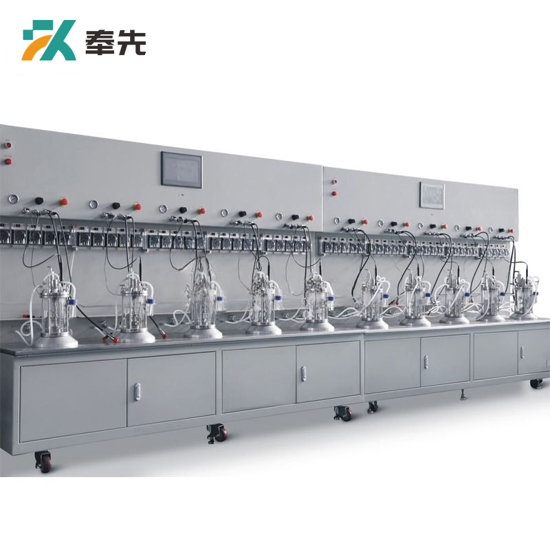 Decuple Off-site Sterilization Mechanical Mixing Glass Fermenter