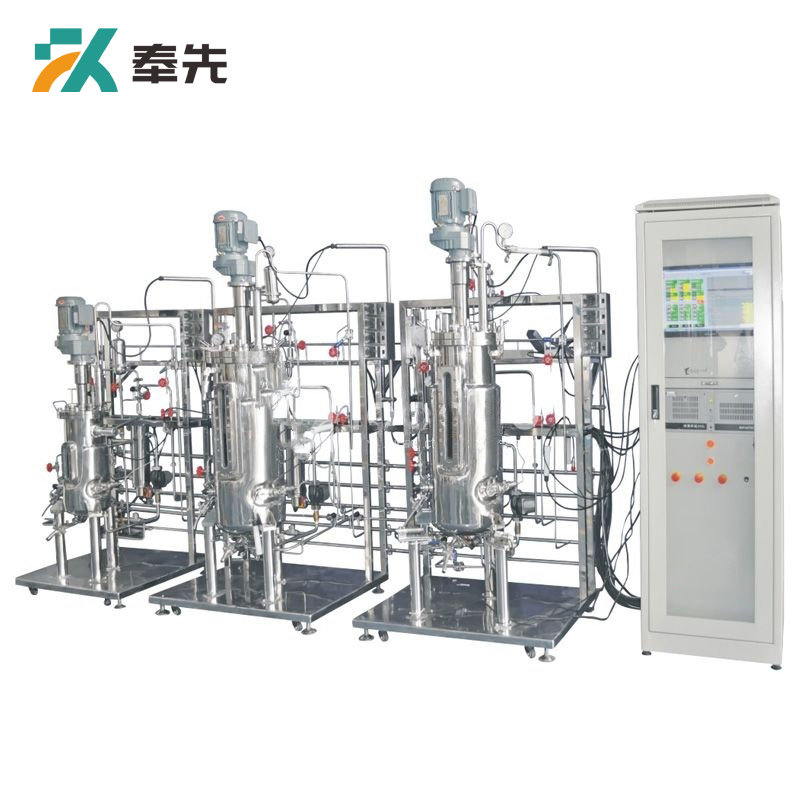 10L-100L-100L Tertiary Stainless Steel Bioreactor System