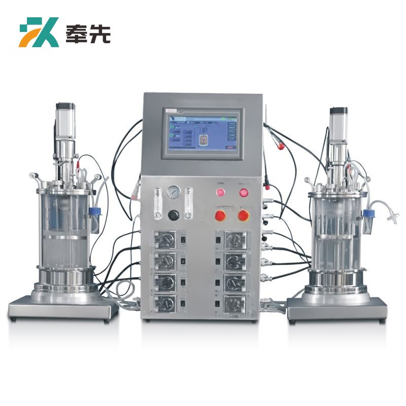 Benchtop Mechanical Mixing Parallel Double Glass Bioreactor