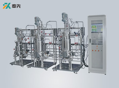 Multiple Multistage Stainless Steel Bioreactor Case