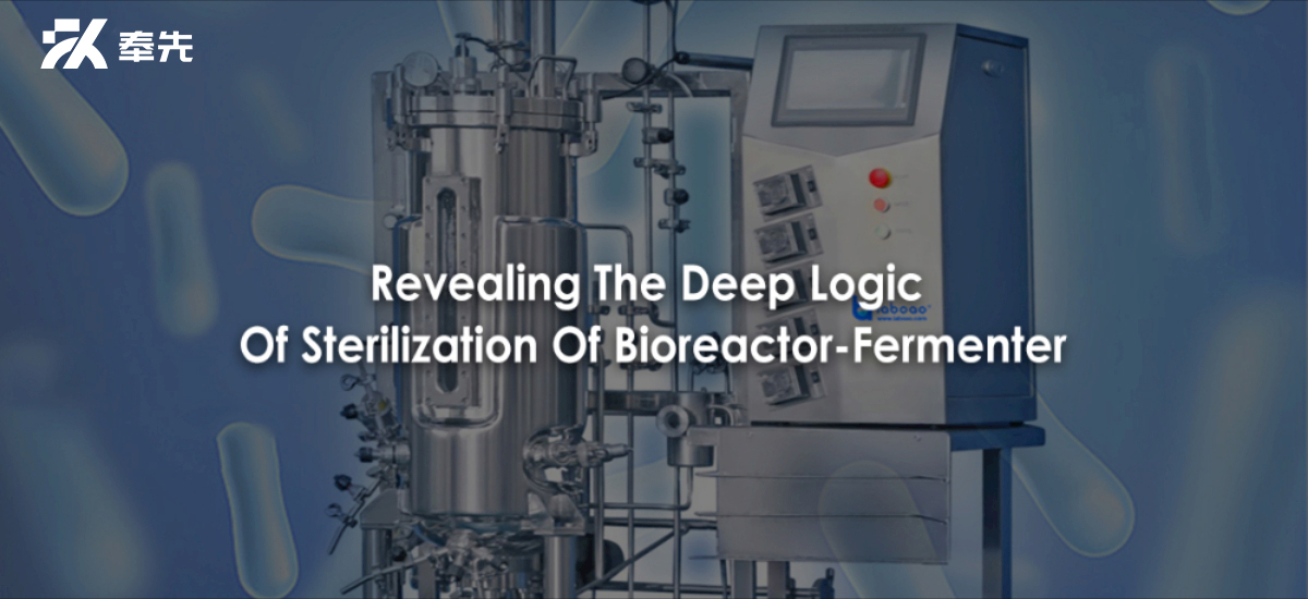 Revealing The Deep Logic Of Sterilization Of Bioreactor-Fermenter